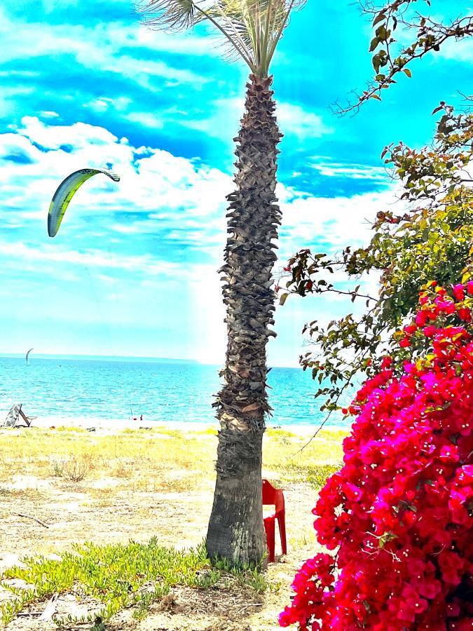 Windsurf Beach Front Torre Grande Eksteriør billede